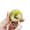 RETBST-WL Green Plums Sour Sweet Snacks Canned Fruit-4