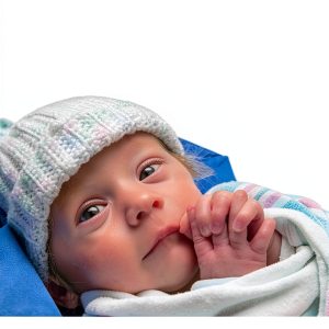 American Academy Pediatrics Neonatology Guide Kindle Edition-0